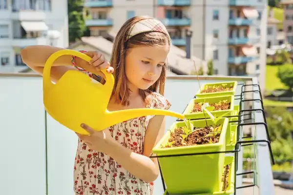 Evite o Superaquecimento: Dicas para Cuidar das Plantas no Verão