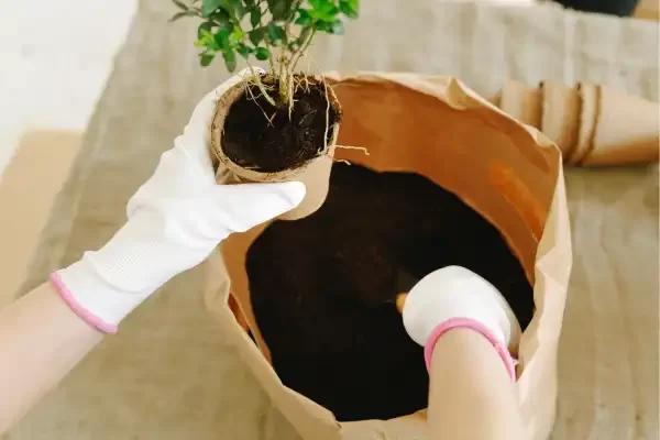 Como fazer compostagem